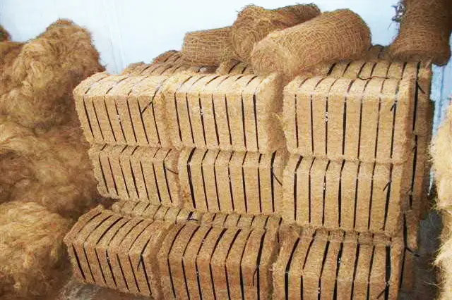 Coir Bristle Fiber